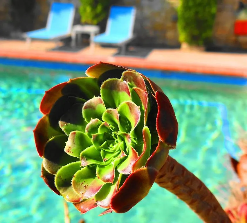 Aparthotel Hotel Aeollos Pefkochori